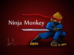скачать игру Ninja Monkey 