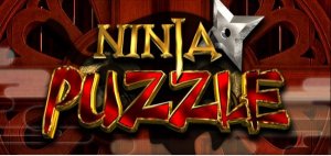 скачать игру бесплатно Ninja Puzzle (2011/ENG) PC
