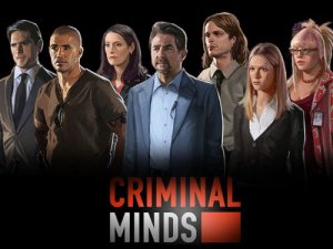 скачать игру Criminal Minds 